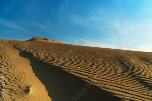 Panoramic view of Oleshky Sands on a blue sky in the Kherson region in Ukraine, the largest desert in Europe.