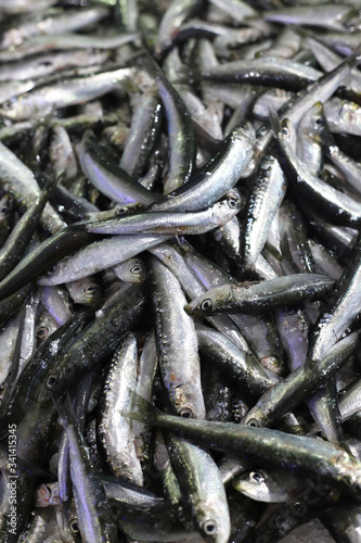 fondo de sardinas muertas apiladas en un mercado de Galicia