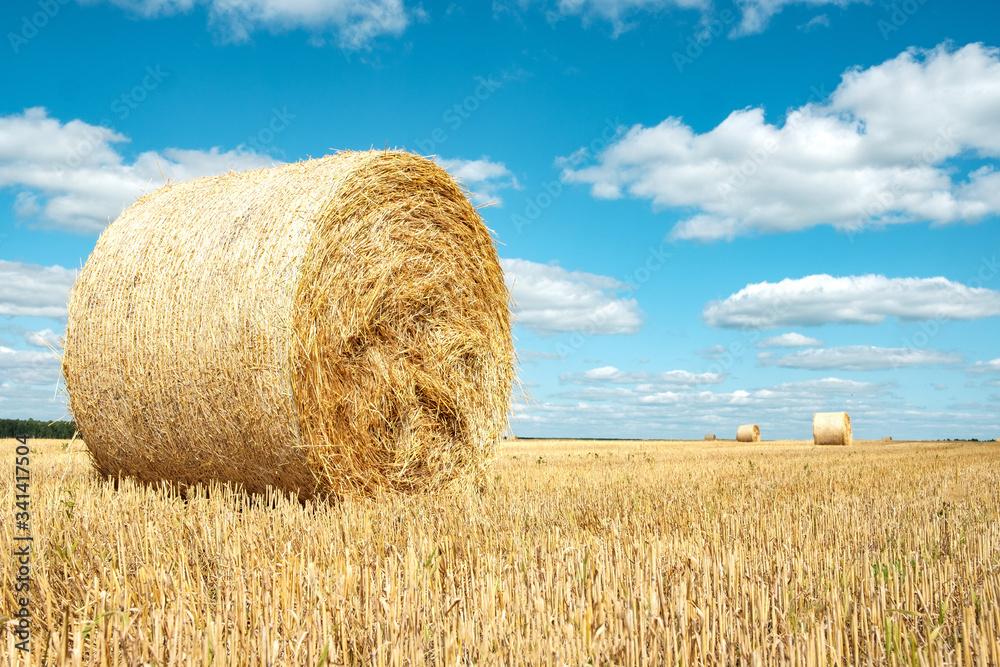 A bale of hay on a field above it a blue sky