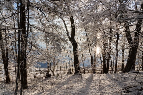 Winter landscape and lakeshore © David Katz