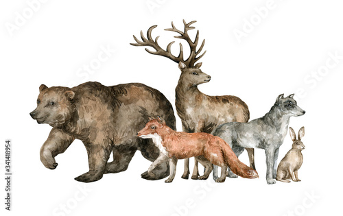 Watercolor forest animals. Brown bear, red fox, deer, wolf, hare. Wild set group of hand drawn animal cliparts for cards, poster, covers, children decoration. © Kate K.
