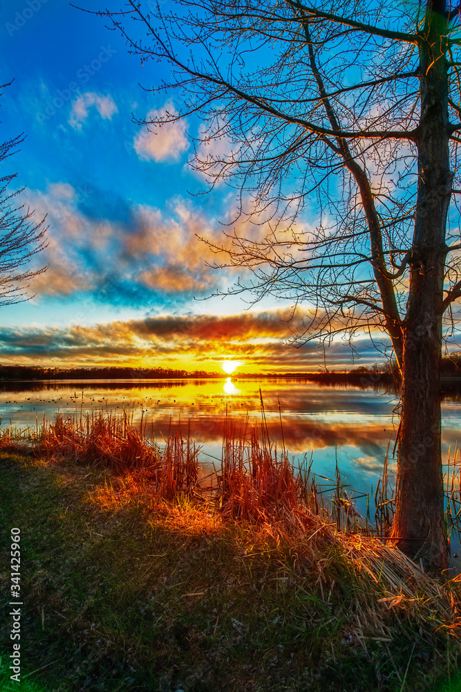 Vertical Image of Sunset Reflected in Calm Water with Tree Vertical Image of Sunset Reflected in Calm Water with Tree