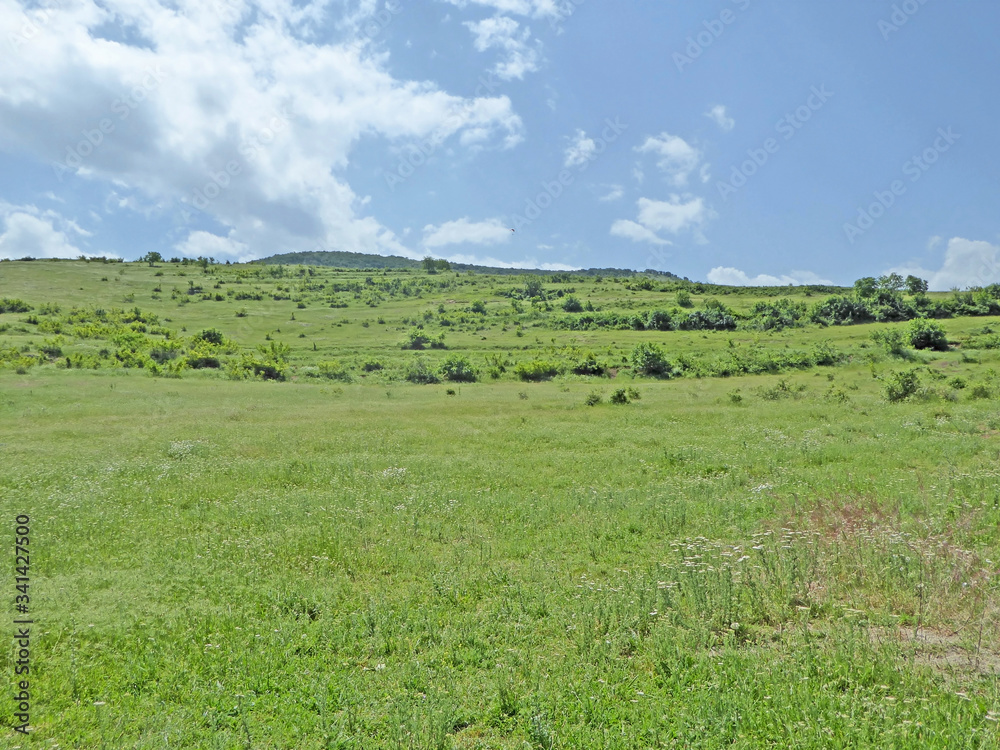 Meadow in Central Bulgaria