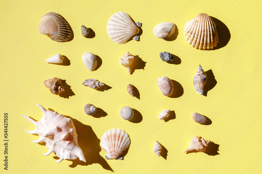 Seashells, starfish and sea rock collection on yellow background. Natural seashore textured surface, top view, copy space. Minimal simple summer time concept. Seashells, starfish and sea rock collection on yellow background. Natural seashore textured surface, top view, copy space. Minimal simple summer time concept.