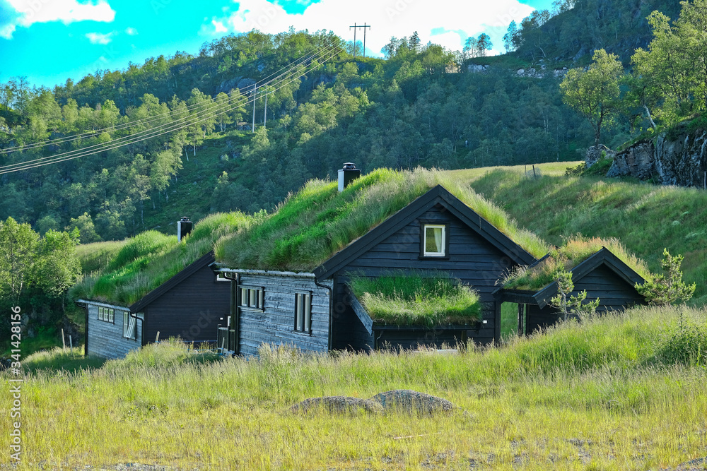 Norwegia - Skandynawia 2019 (Norwyy)