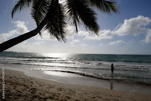Fototapeta Naklejka Na Ścianę i Meble -  Martinican typical beach