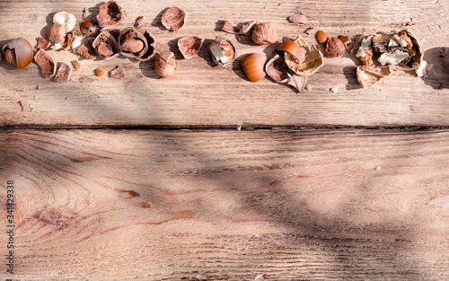 dried fruit on old wood