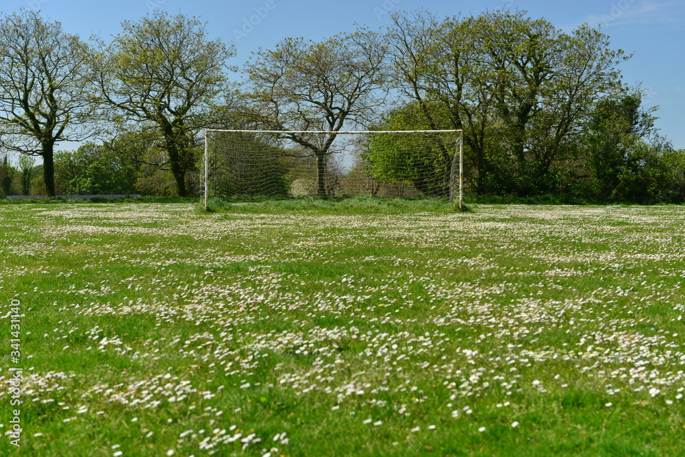 Closed sports field, Jersey, U.K. Daisies have taken over the soccer pitch in Spring. Closed sports field, Jersey, U.K. Daisies have taken over the soccer pitch in Spring.