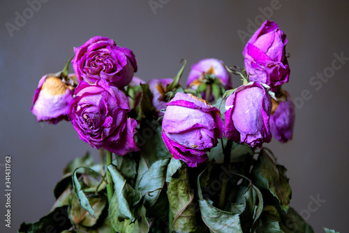 Bouquet of dry pink roses, with dry leaves close-up