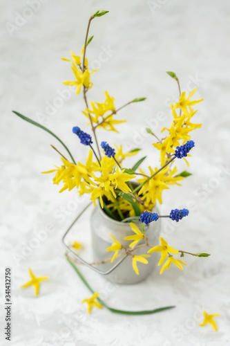Bouquet of yellow flowers of Forsythia in old vintage aluminium can fallen petals, top view, selective focus. Rustic background