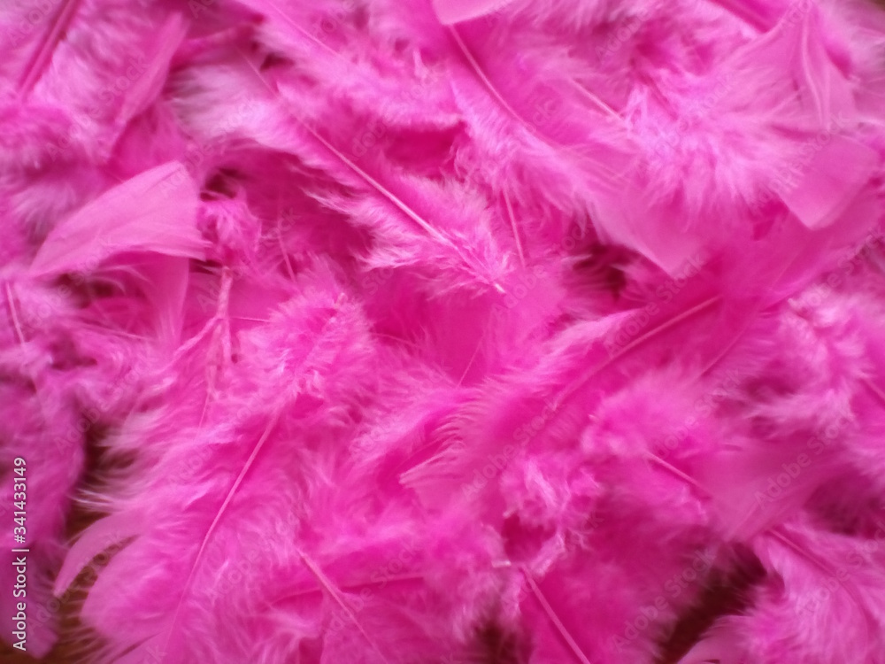 Intense pink bird feather background Intense pink bird feather background