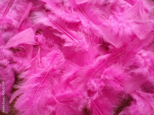 Intense pink bird feather background