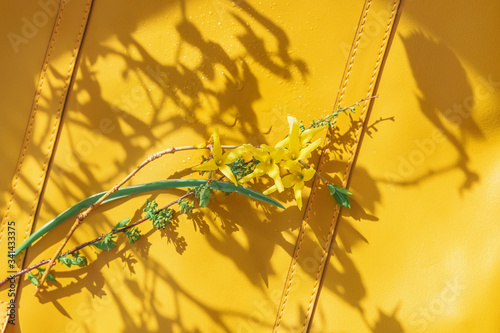 Yellow flowers on surface of handbag with stitching and plants silhouette shadow, genuine leather. Texture, fashionable background. Concept of spring or summer shopping