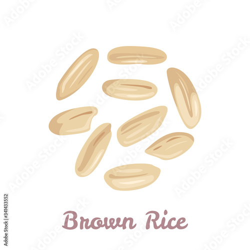 Brown rice seeds. Whole grain rice 3206503 Vector Art at Vecteezy
