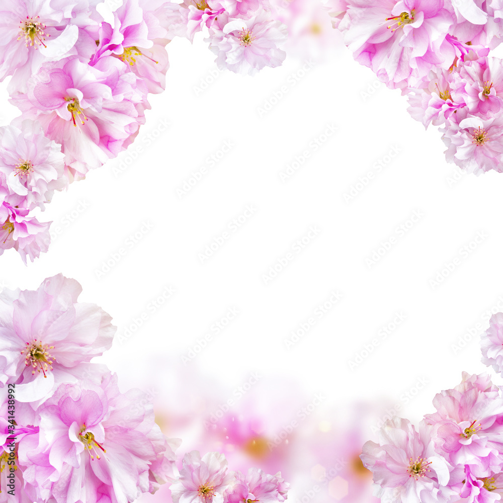 Beautiful background with pink cherry flowers for your design and home decor