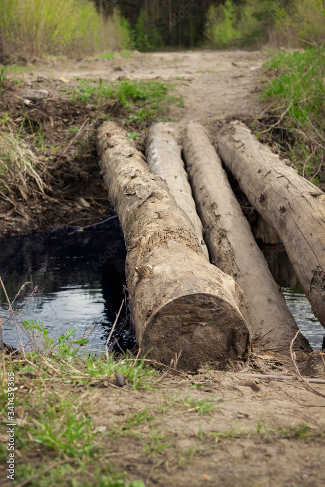 Thick logs as a crossing over a stream. Spring Thick logs as a crossing over a stream. Spring