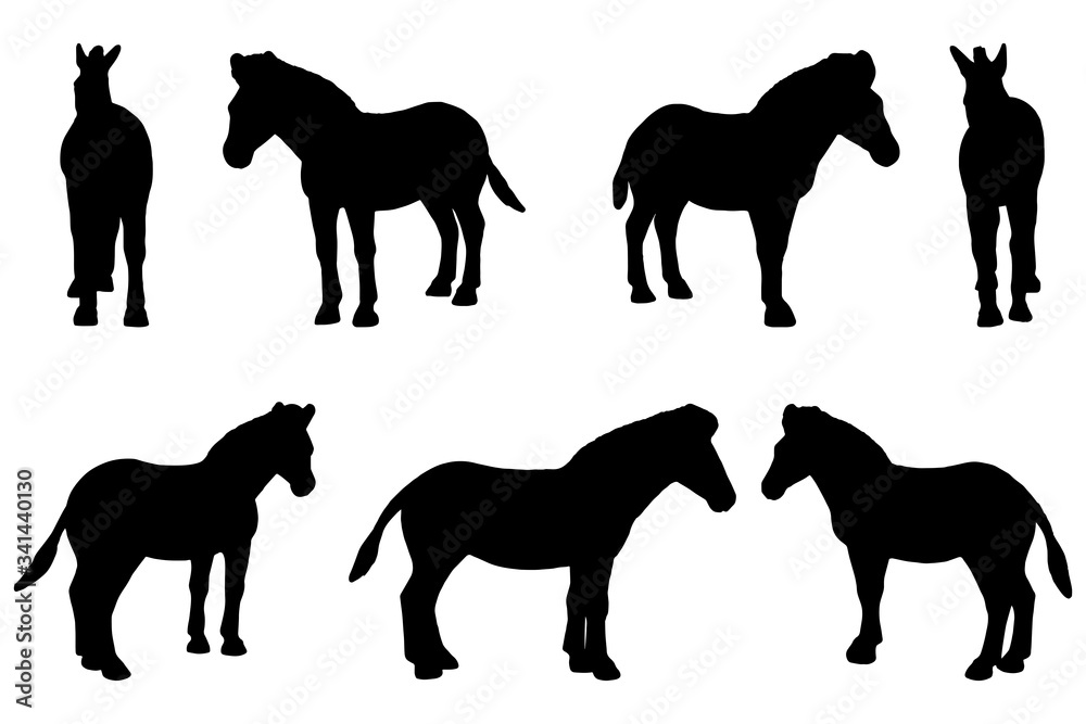 7 black and white set vector zebra silhouette isolated on white background