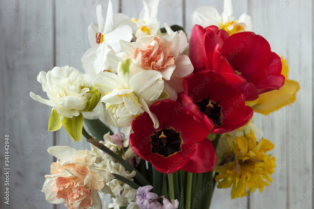 Bouquet of beautiful daffodils of different types, red tulips and hyacinths on a white wooden background