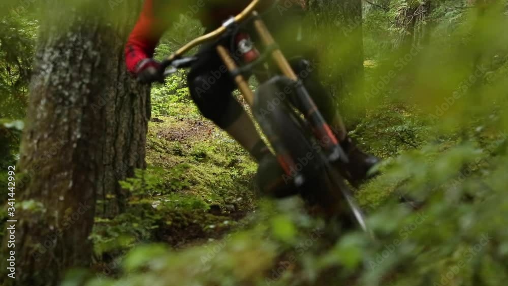 Man riding downhill mountain bike in Whistler forest.
