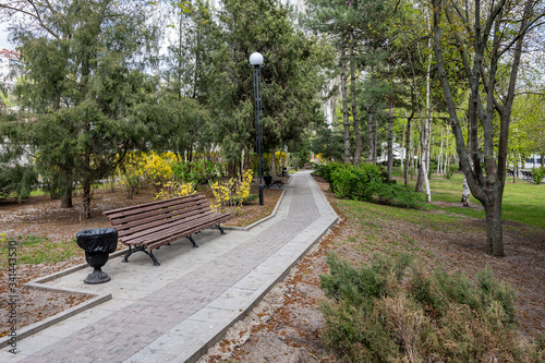 beautiful calm park with a wooden bench in spring