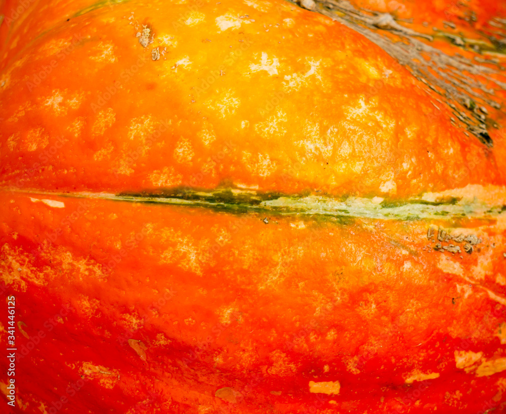Pumpkin background. Pumpkin background.