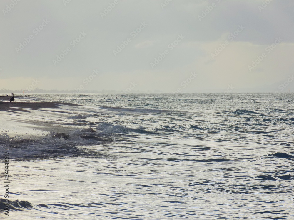 surfing in the sea surfing in the sea