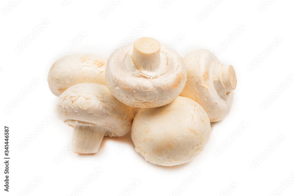 Champignon mushroom isolated on white background. Champignon mushroom isolated on white background.