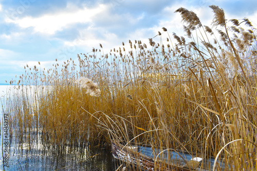 Reeds with fishing boat on the shore of Lake Balaton, Hungary