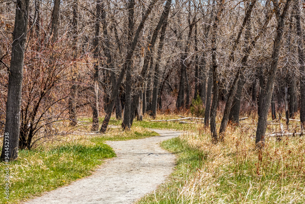 Beautiful landscape in Cherry Creek State Park and Reservoir at a spring sunny day, Denver, Colorado