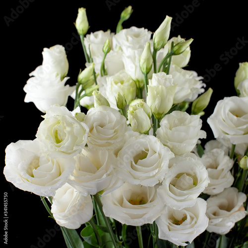 Bouquet of white eustomas on a black background