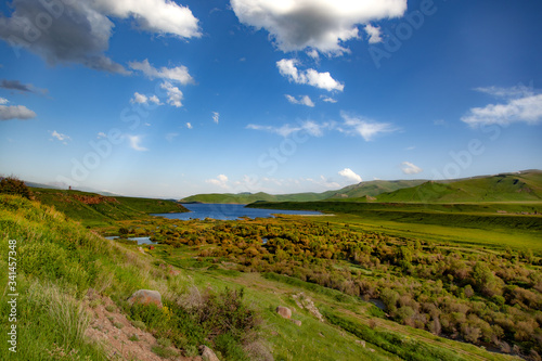 lake and green trees with grass