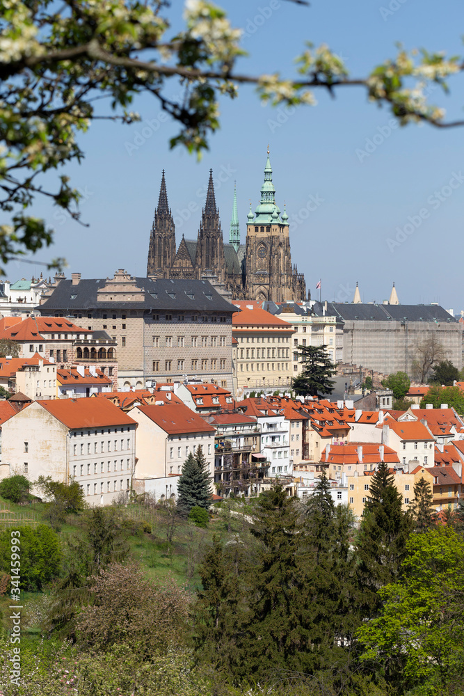 Naklejka premium Spring Prague City with gothic Castle and the green Nature and flowering Trees from the Hill Petrin, Czech Republic