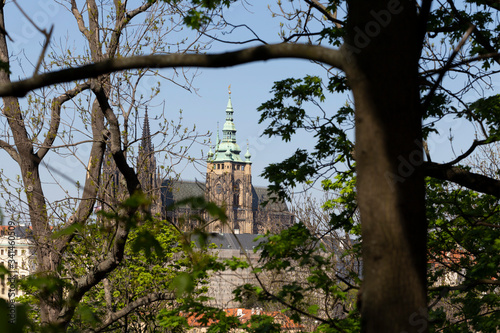 Spring Prague City with gothic Castle and the green Nature and flowering Trees from the Hill Petrin, Czech Republic