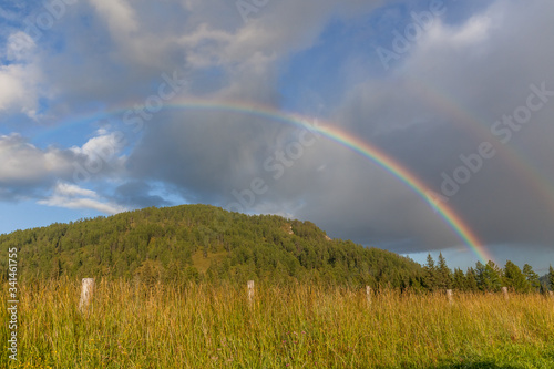 colored double rainbow over the mountain with green pines.