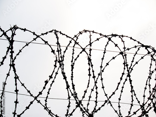 barbed wire on a white background,close up