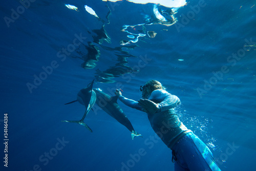 A family of wild dolphins playing in the clear ocean waters. Mauritius, Indian Ocean