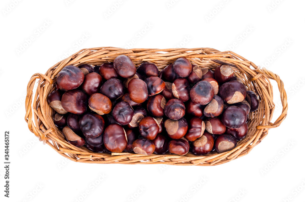 Peeled fruits Aesculus on white background Peeled fruits Aesculus on white background