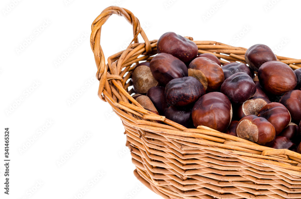 Peeled fruits Aesculus on white background Peeled fruits Aesculus on white background