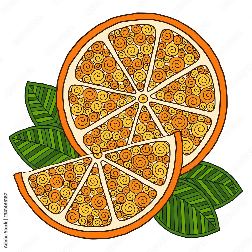 Orange. Doodle detailed illustration.