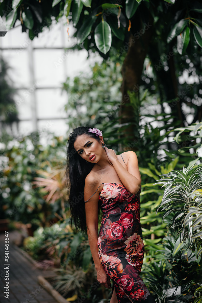 A young beautiful brunette posing among dense thickets of jungle and rainforest. Spa A young beautiful brunette posing among dense thickets of jungle and rainforest. Spa