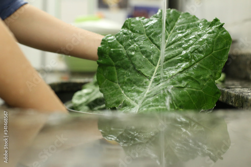 Couve - Higienização de vegetais orgânicos, provenientes de agricultura familiar, em tempos de pandemia causada pelo corona vírus (covid19)