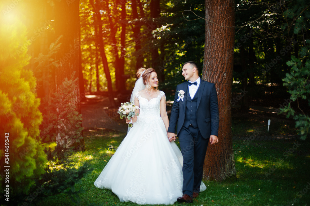 The bride and groom walk together in the park. Charming bride in a white dress, the groom is dressed in a dark elegant suit.