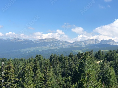 עצים בהרים של בולגריה