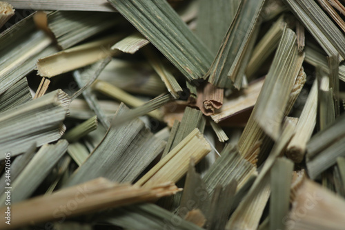 Erva-Príncipe (Portugal) também conhecido por Capim Santo ou Capim-Cidreira ou Capim-Limão, é uma planta herbácea da família Poaceae