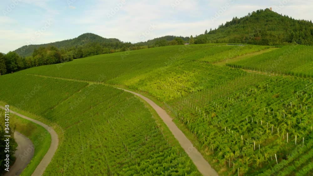 Aerial Shot of Beautiful Green Field and Cloudy Blue Sky in the Black Forest / Baden Baden Aerial Shot of Beautiful Green Field and Cloudy Blue Sky in the Black Forest / Baden Baden