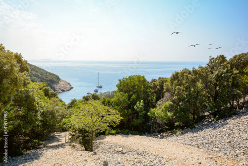 Cres Island, Istria Croatia: View to the beach and sailing boat at adriatic sea near village Valun photo