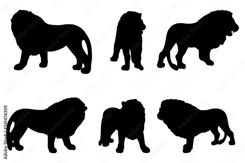 6 black and white set vector lion silhouette isolated on white background