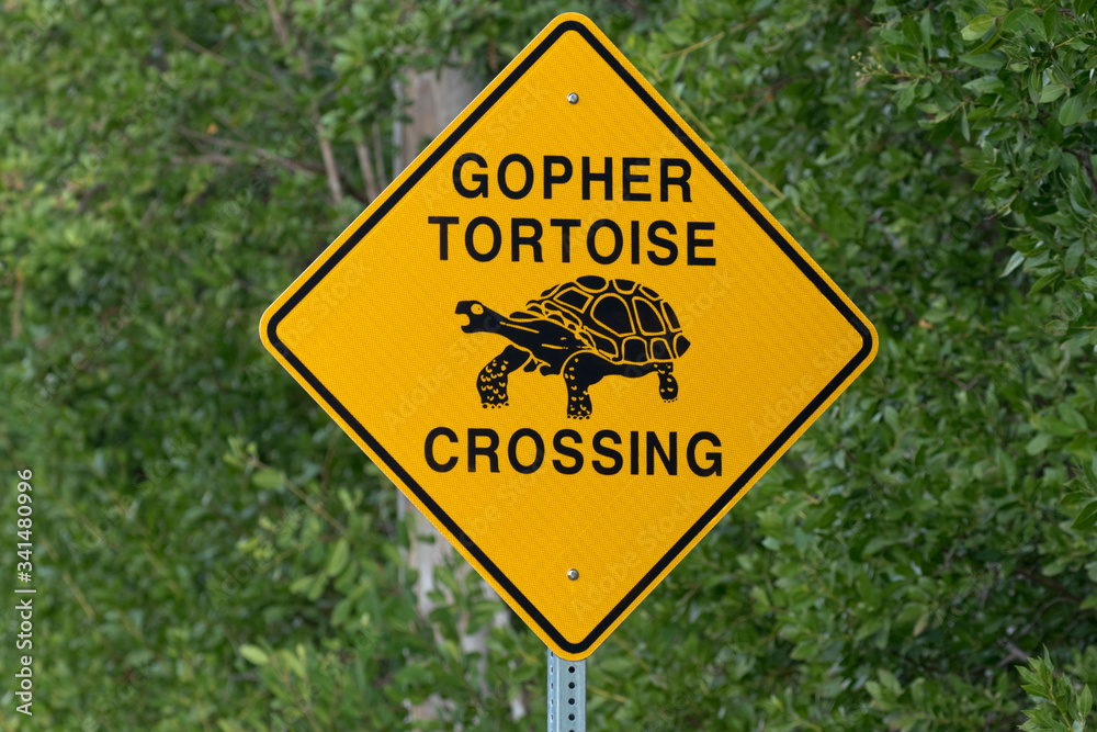 Gopher Tortoise Crossing Road Sign