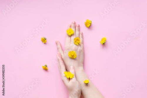 Hands of a woman with yellow flowers on a pink background. Natural cosmetics product and hand care, moisturizing and wrinkle reduction. Flat Lay and skincare concept.