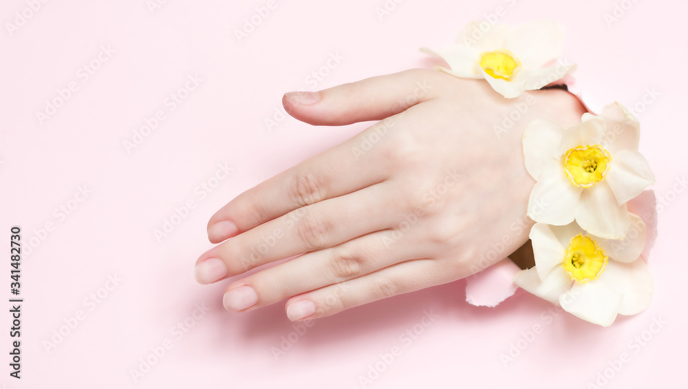 Hands with spring flowers sticking out of hole blue torn paper background.  Cosmetics hand skin care, moisturizing and wrinkle reduction